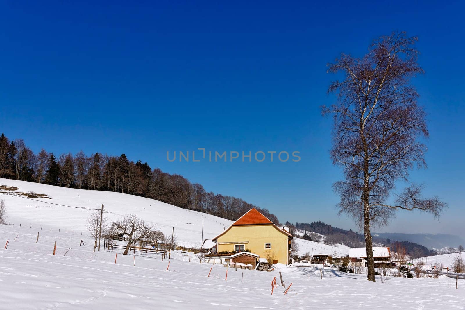 High valley in the Bernese Jura