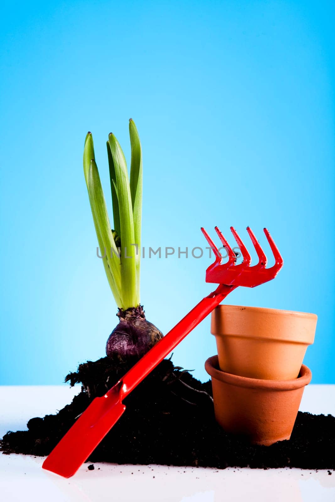 Gardening concept