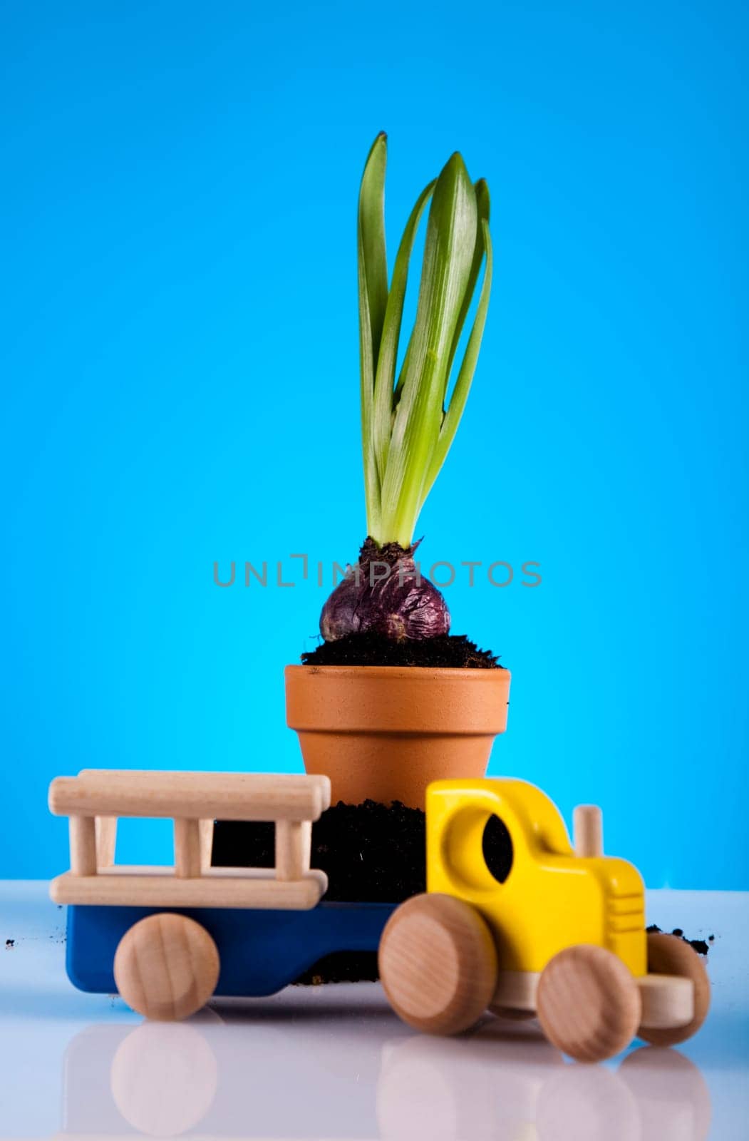 Gardening concept