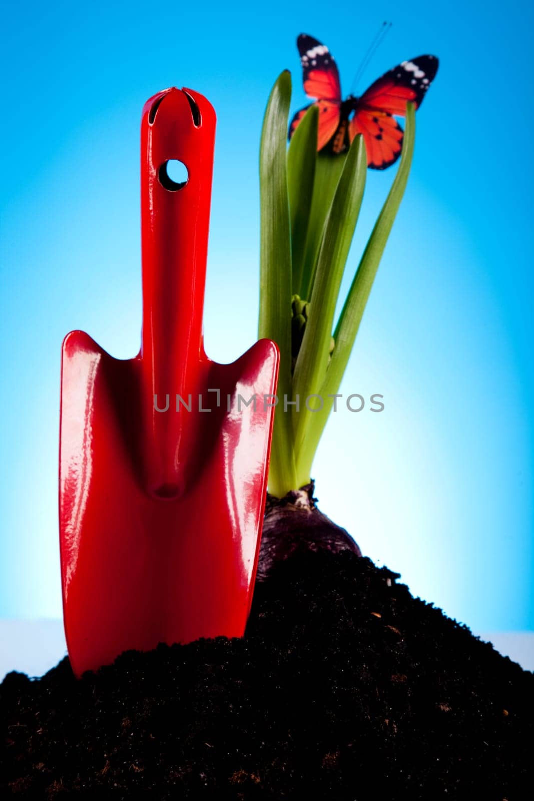 Gardening concept