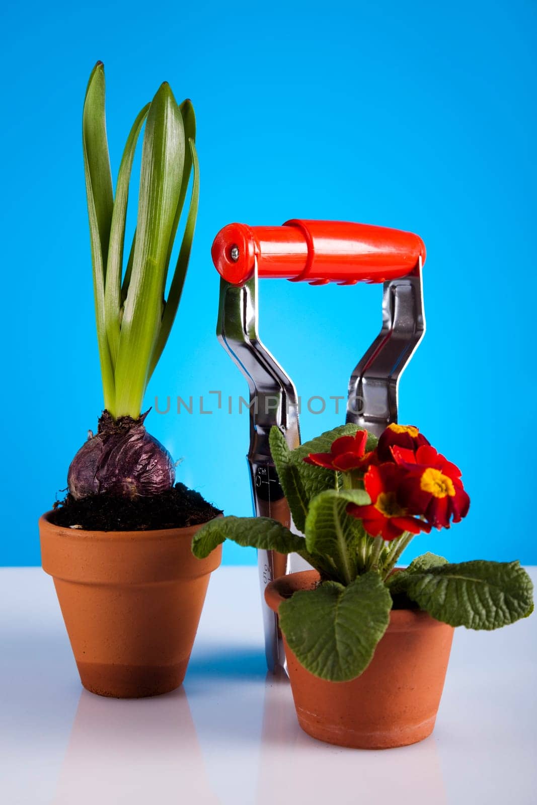 Gardening concept