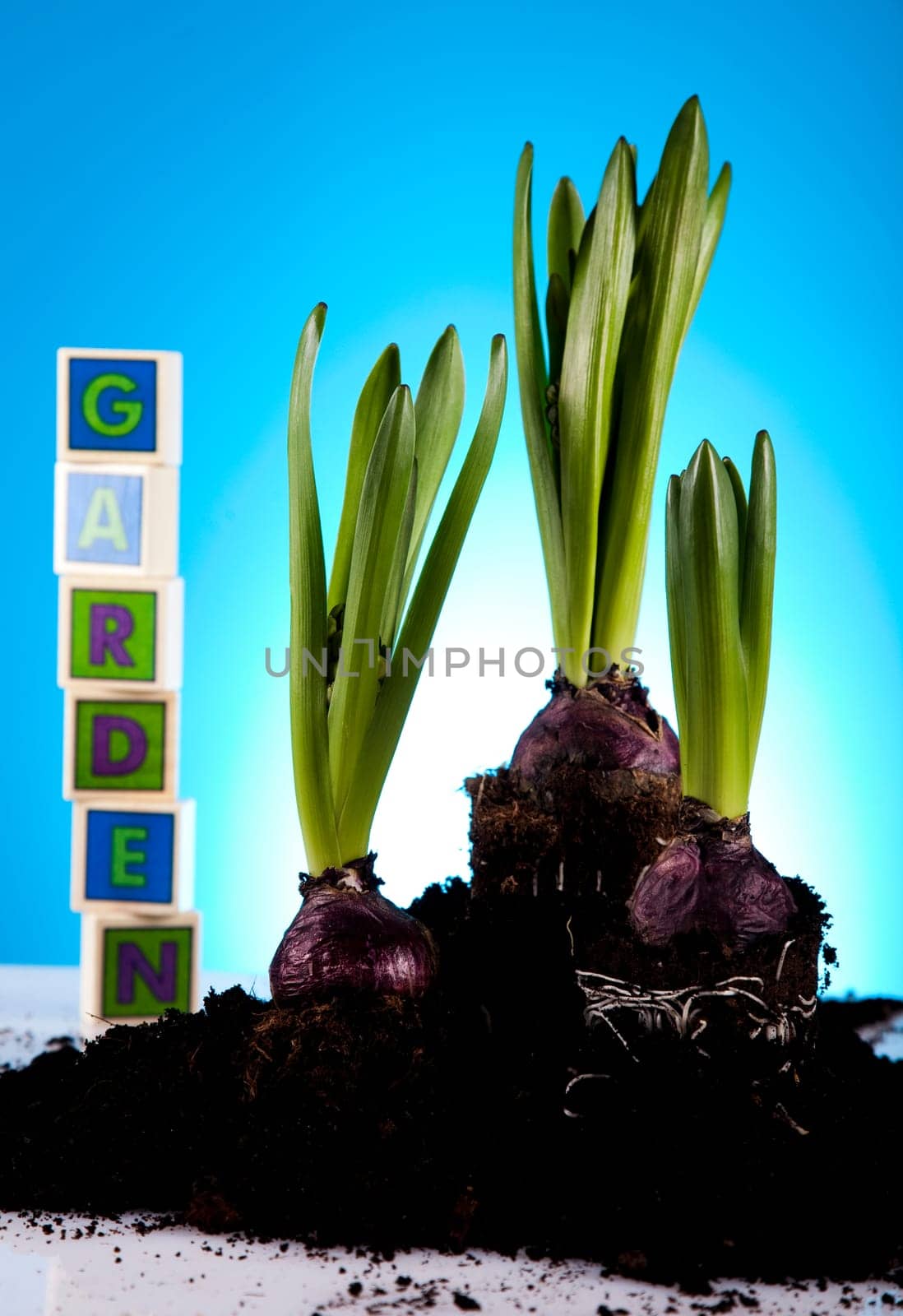 Gardening equipment on green plant