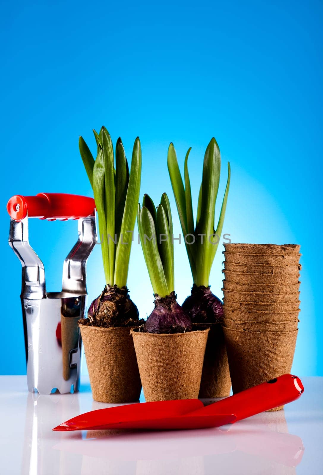 Garden concept