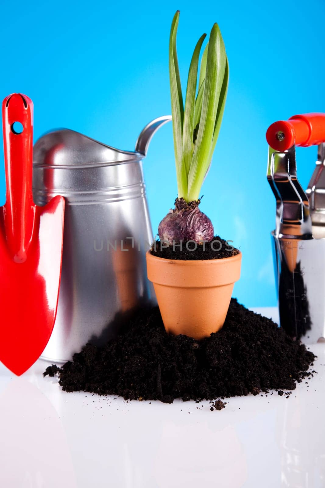 Garden concept