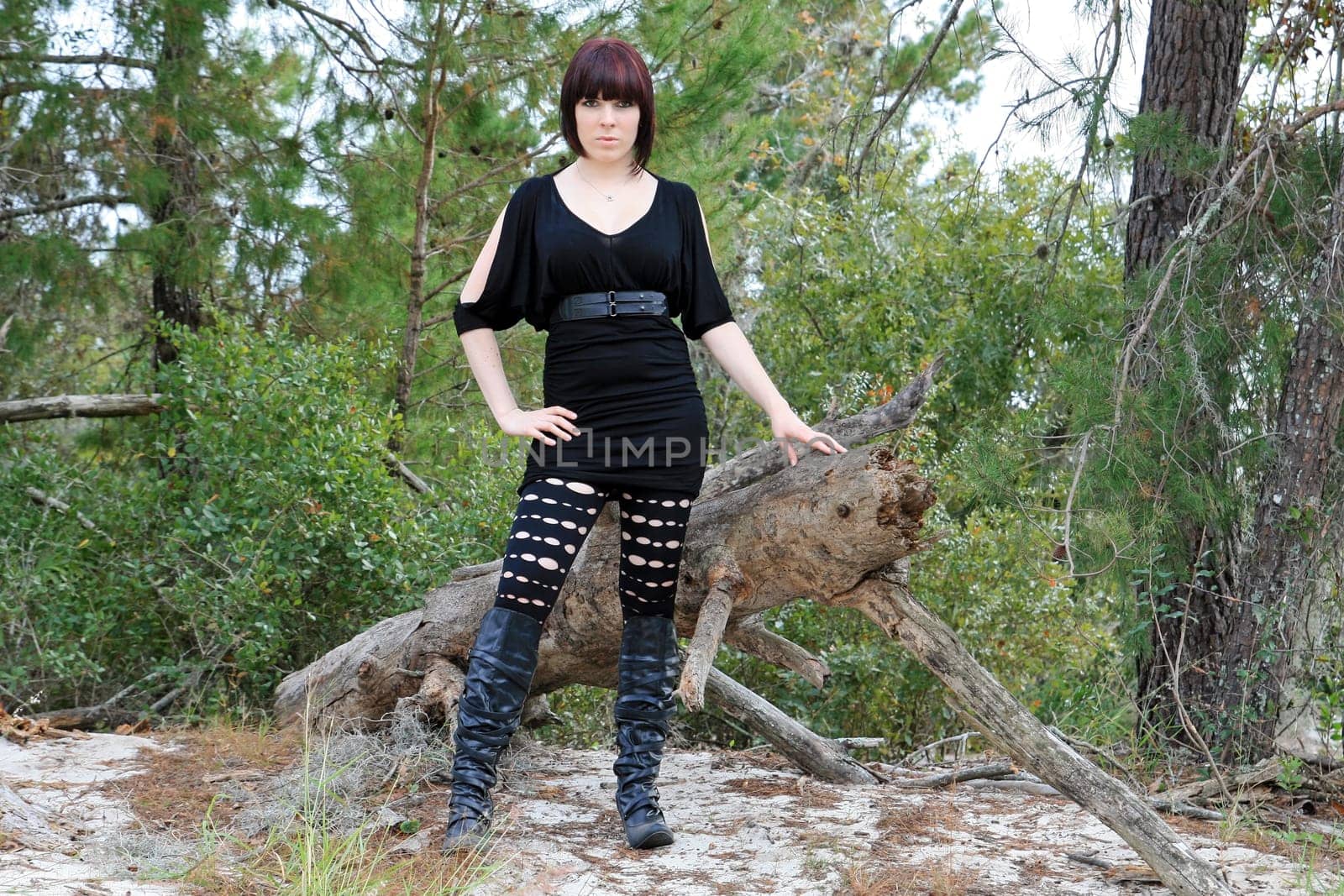 In the wilderness