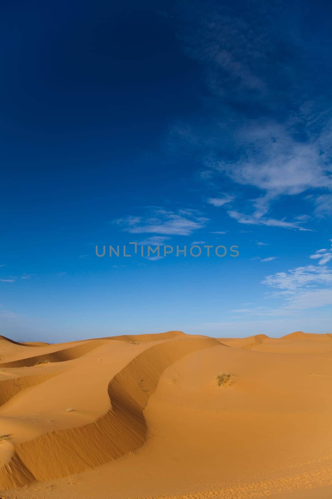 Sahara Desert, merzouga