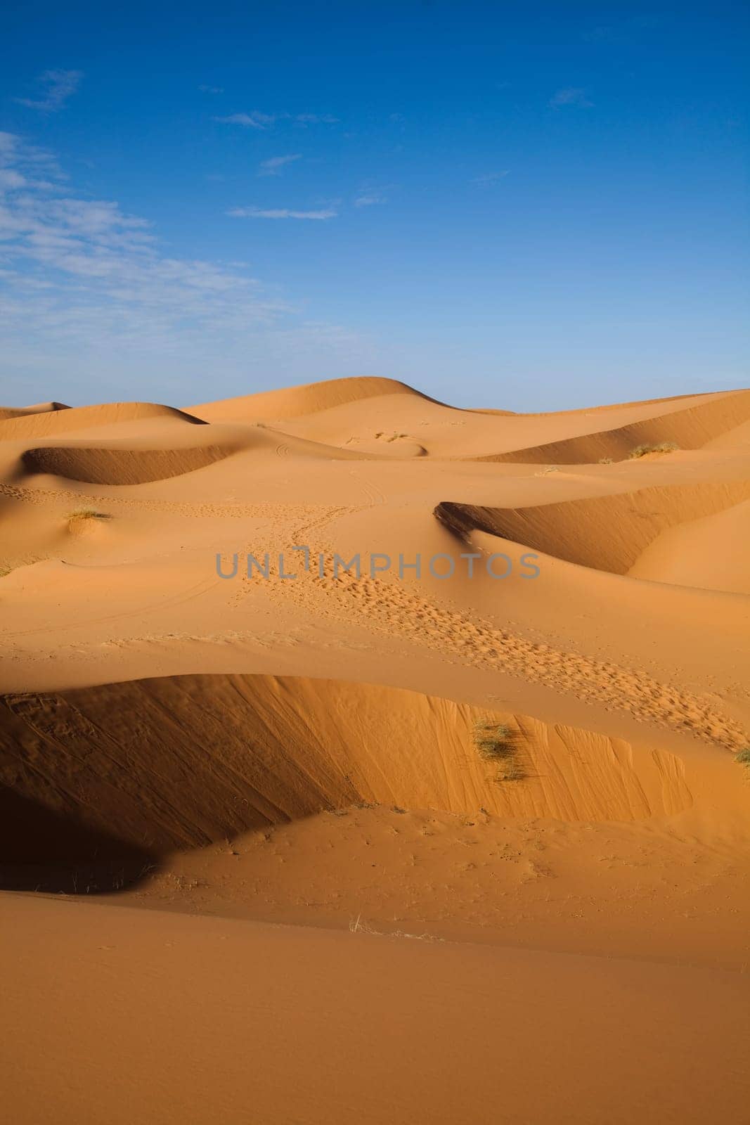 Dunes in Moroccan Sahara
