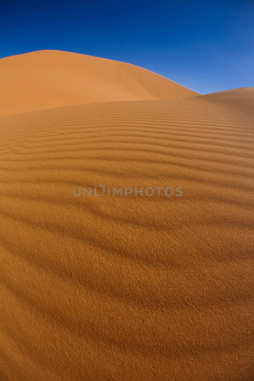 Sahara Desert, merzouga