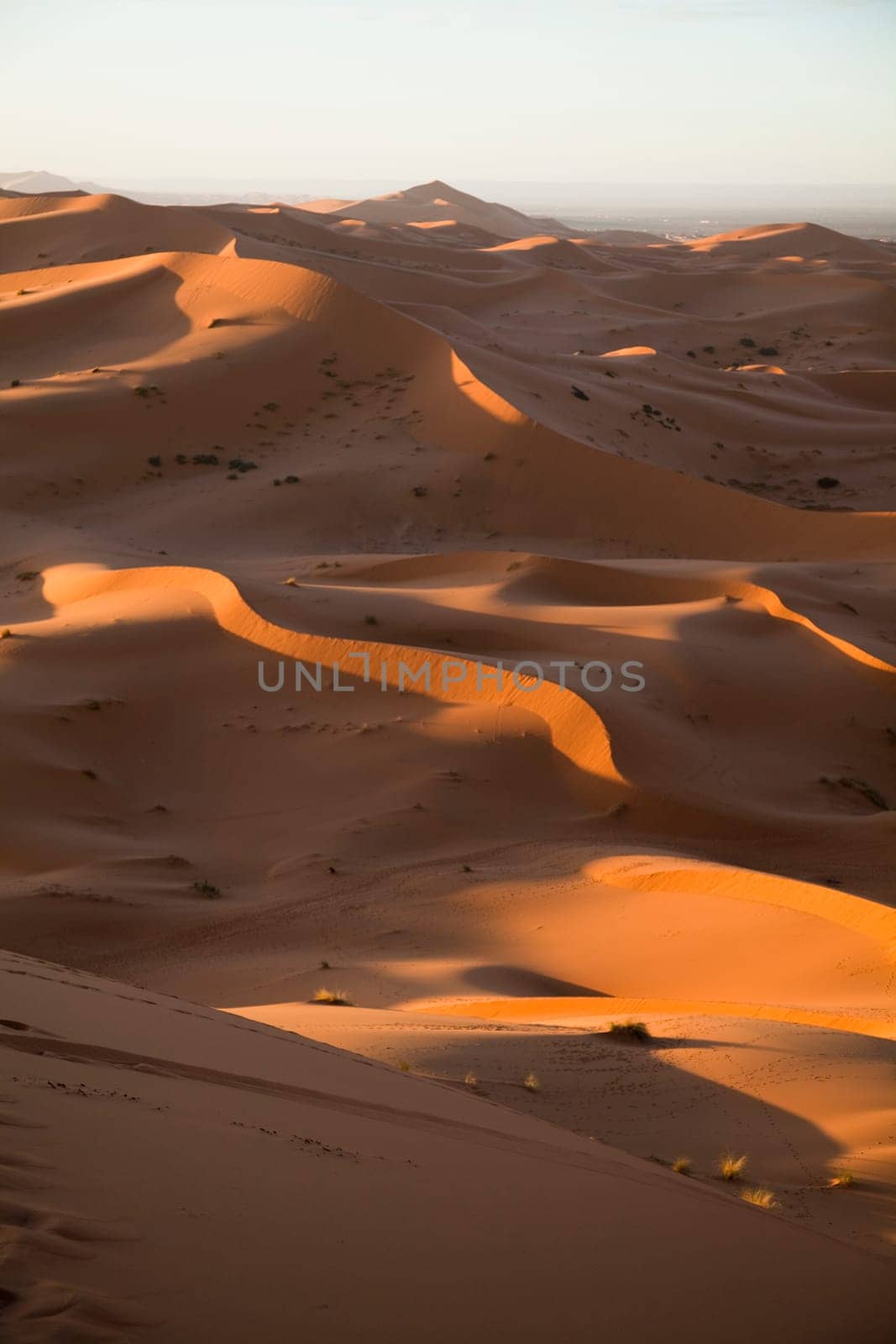 Sand Desert with Dunes in Marocco, merzouga
