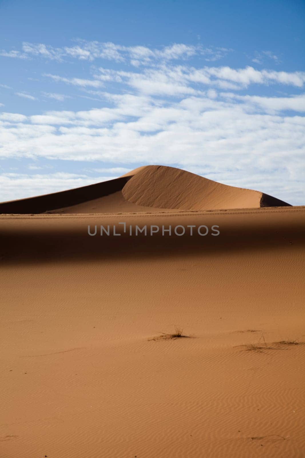 Sahara Desert, merzouga