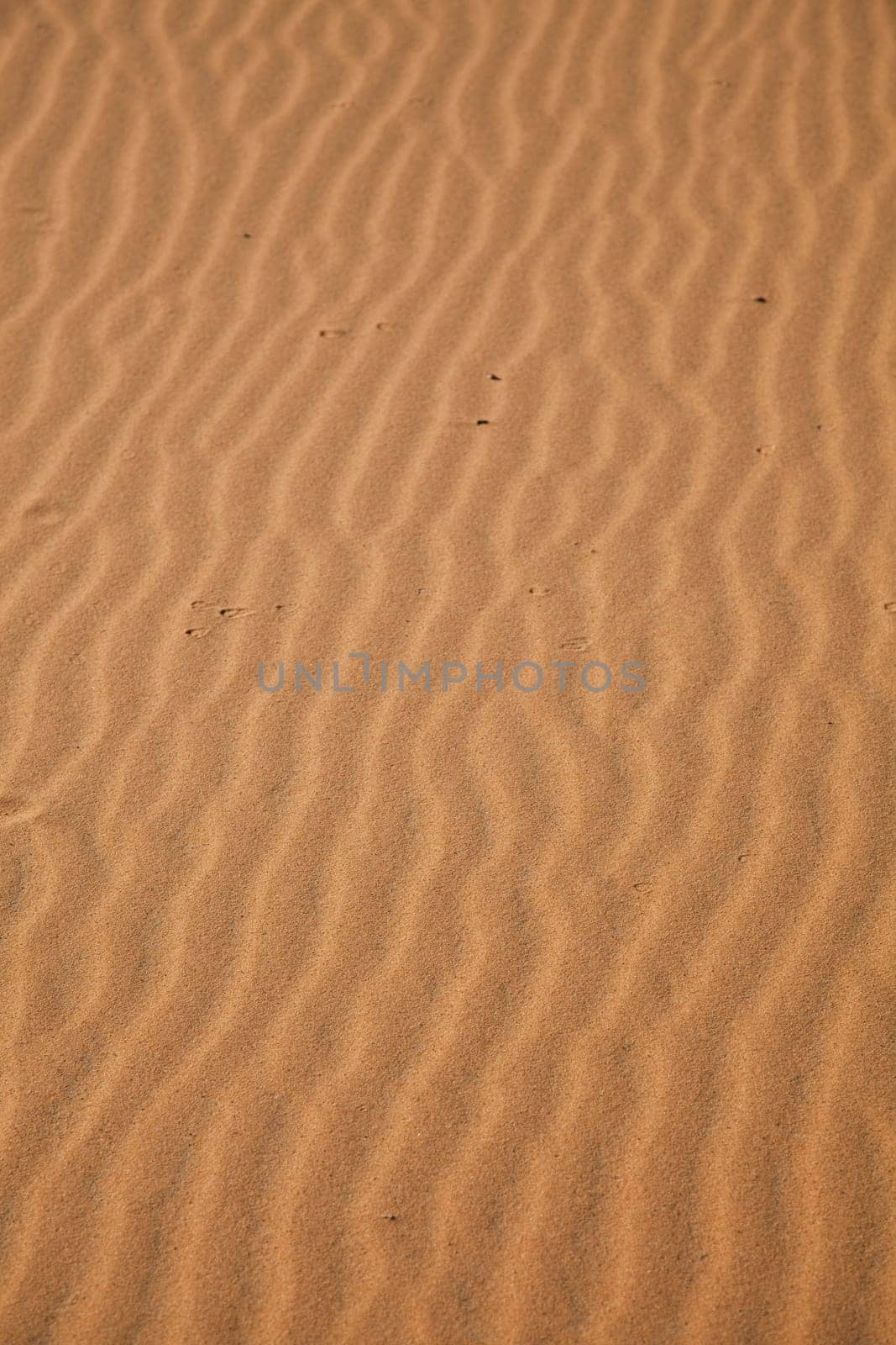 Desert dunes in Morocco