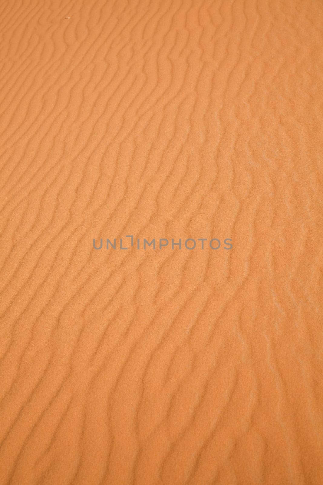Sahara Desert, merzouga
