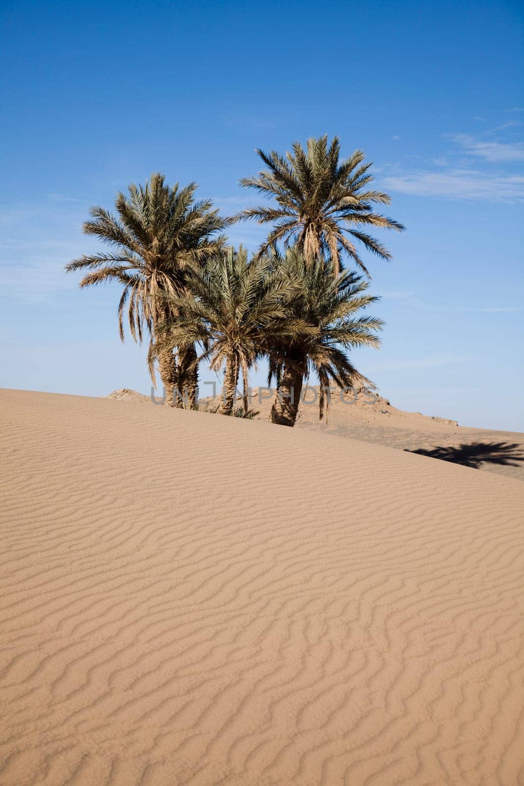 Sand Desert with Dunes in Marocco, merzouga