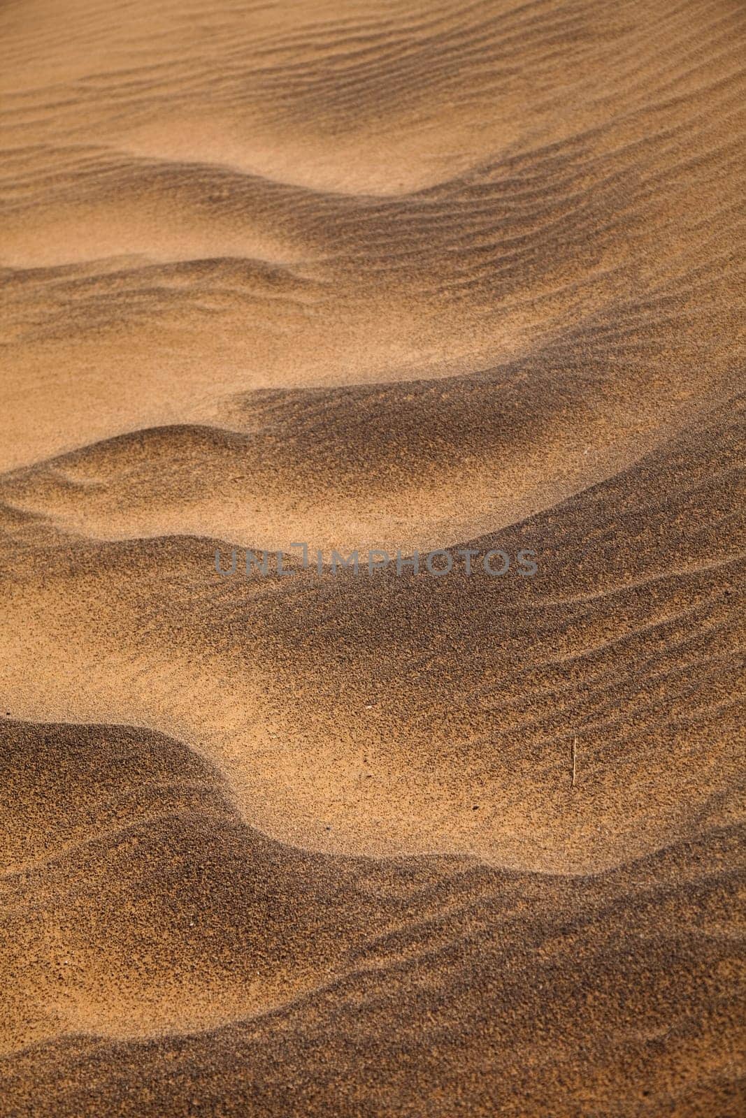 Sand Desert with Dunes in Marocco, merzouga