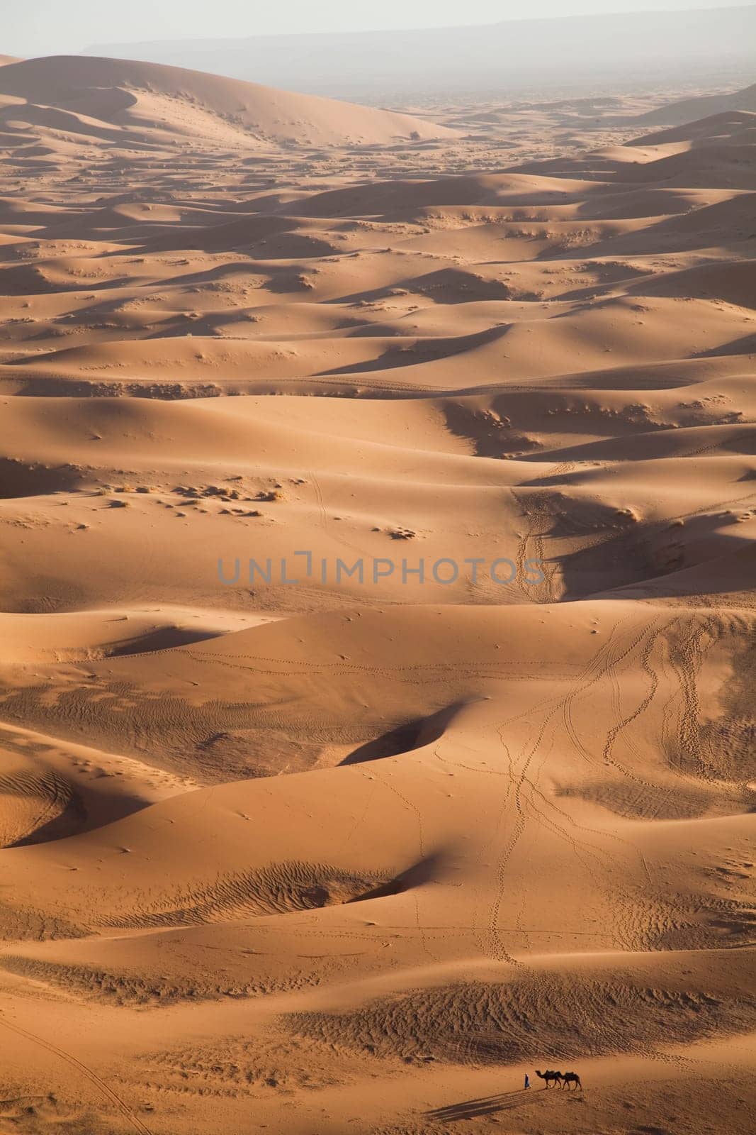 Dunes in Moroccan Sahara