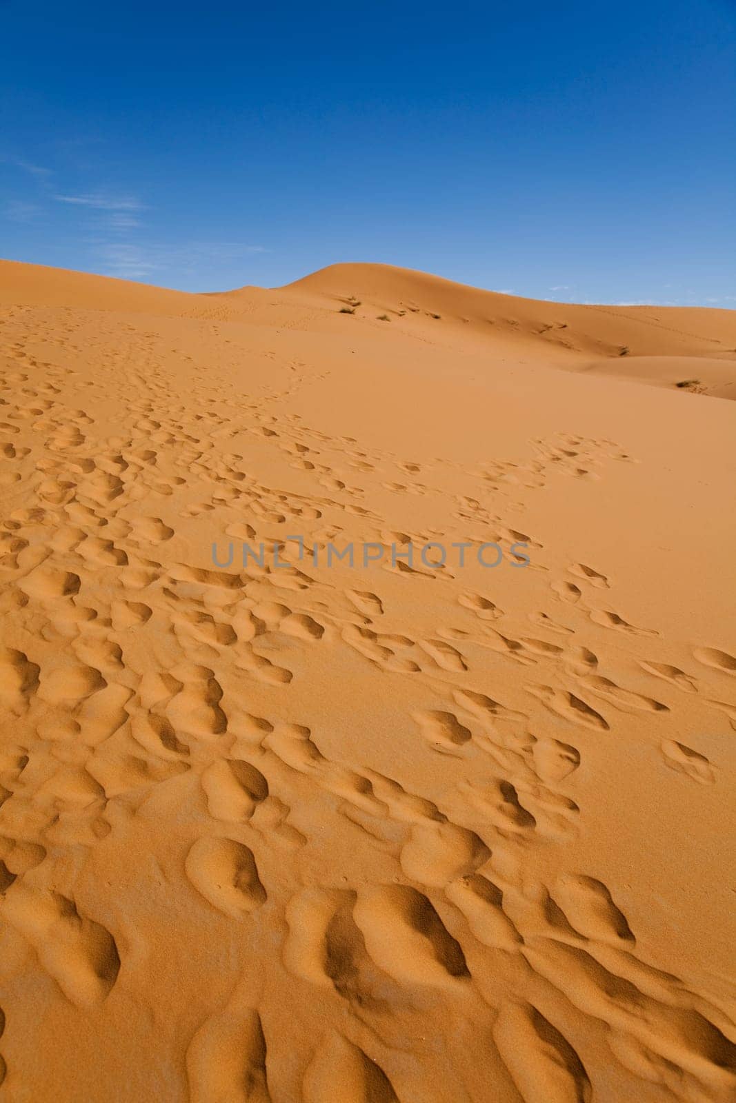 Sahara Desert, merzouga