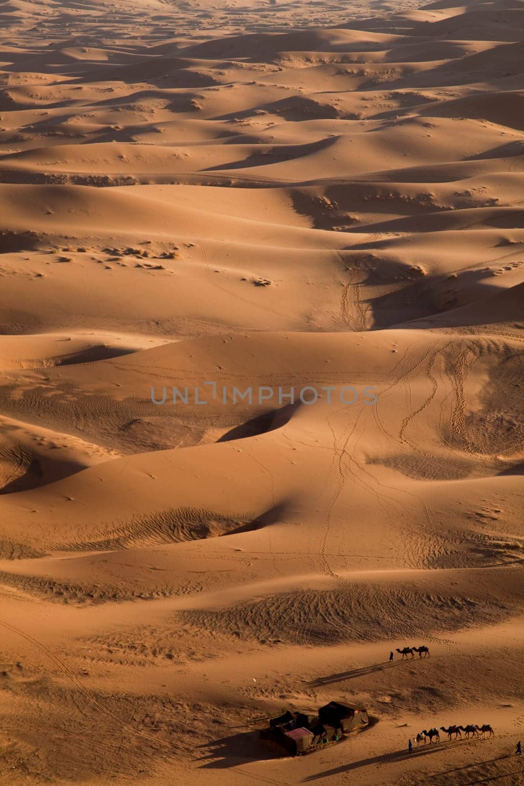 Desert landscape, merzouga, marocco