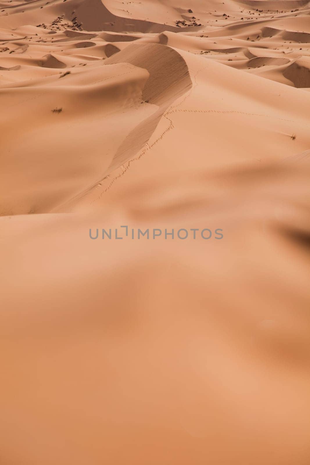 Sand Desert with Dunes in Marocco, merzouga