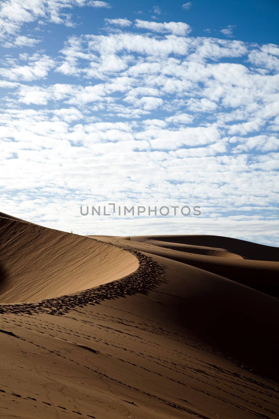 Desert dunes in Morocco
