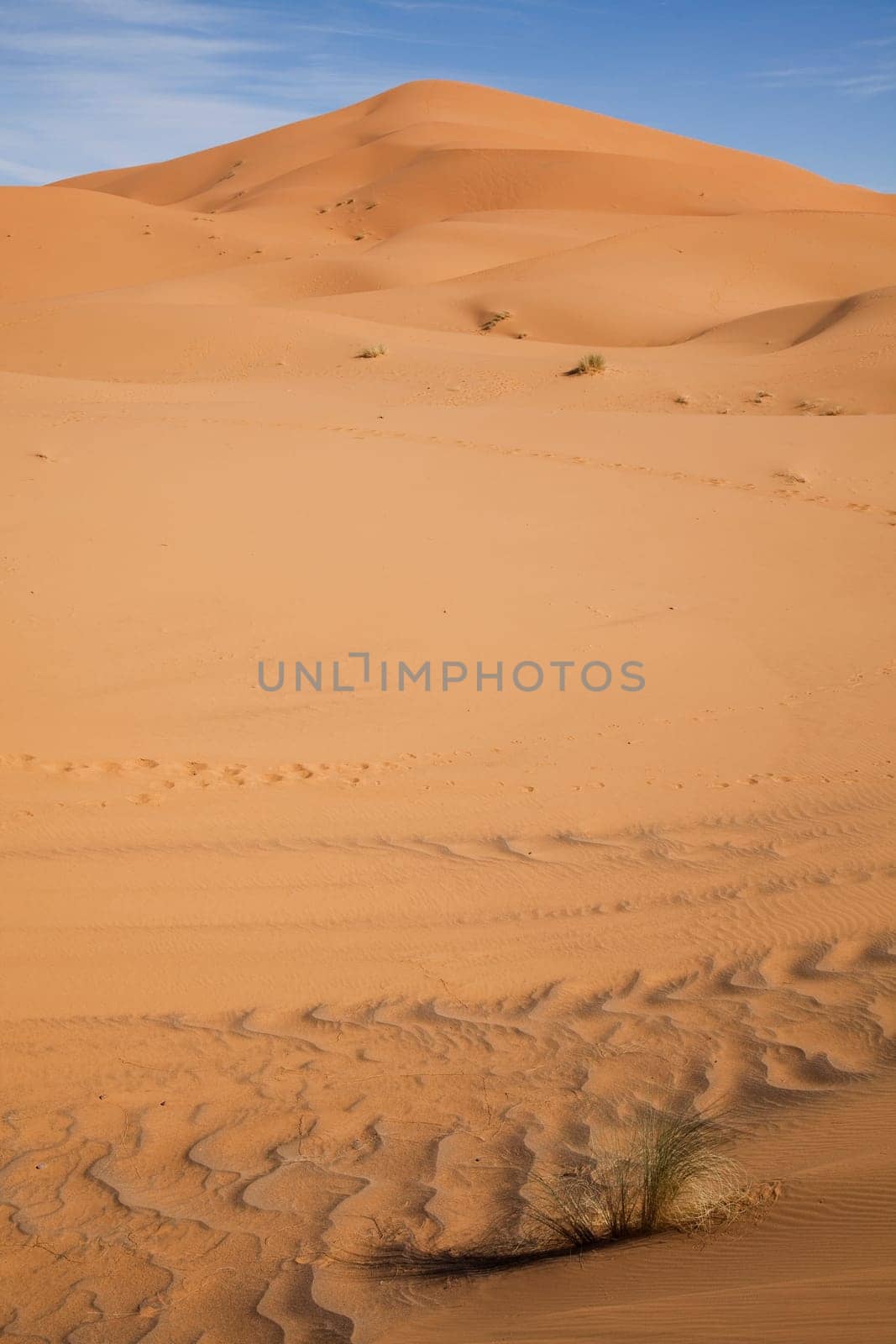 Dunes in Moroccan Sahara