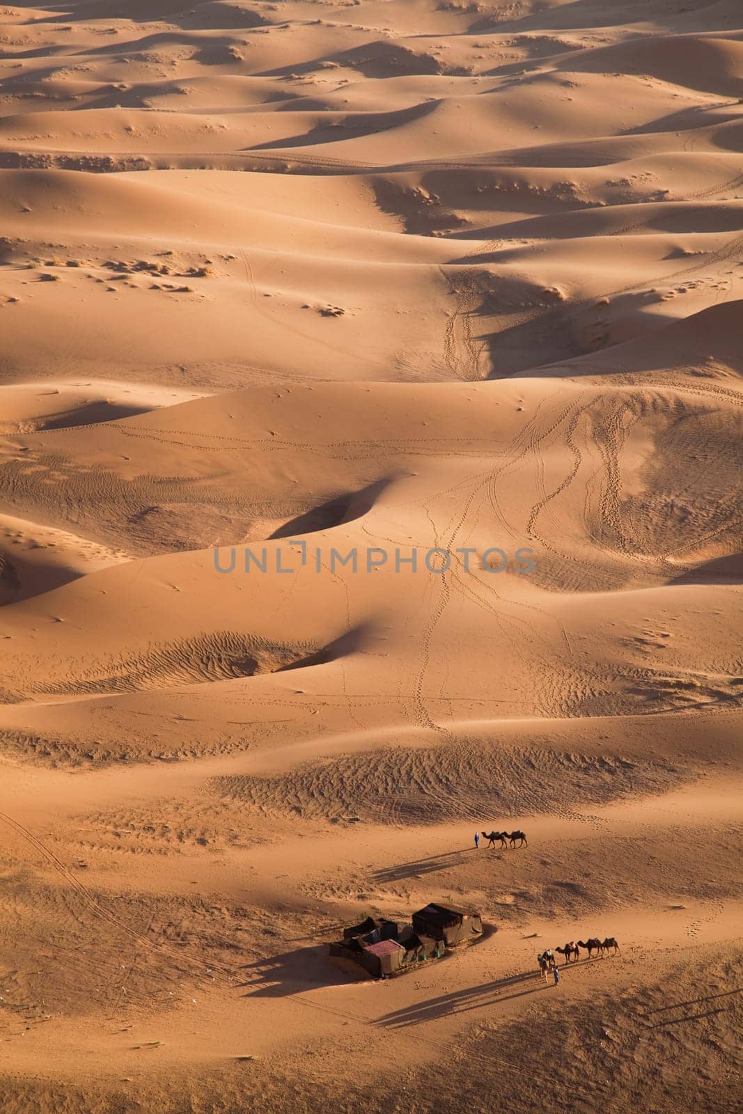Dunes
