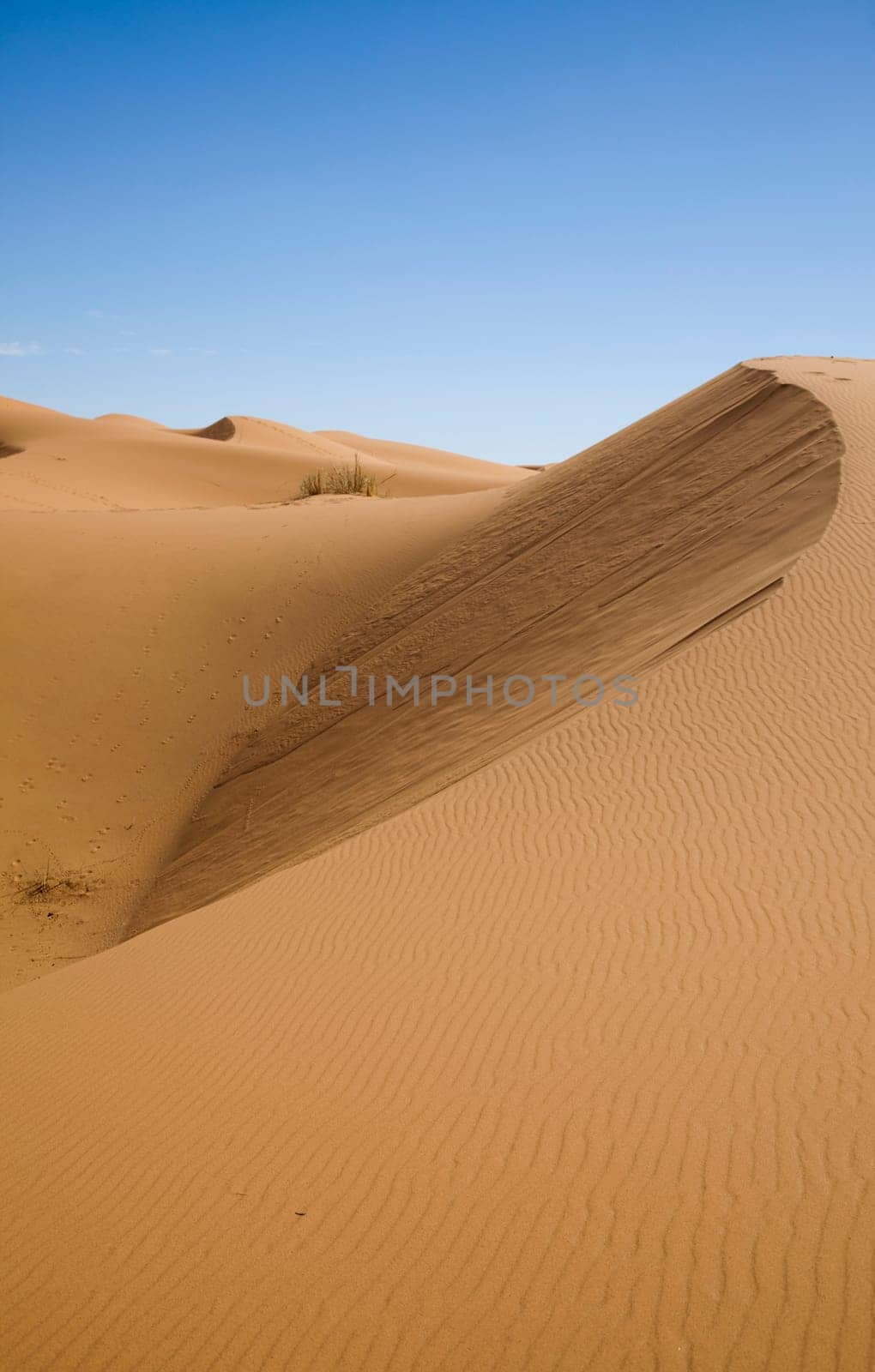 Dunes in Moroccan Sahara