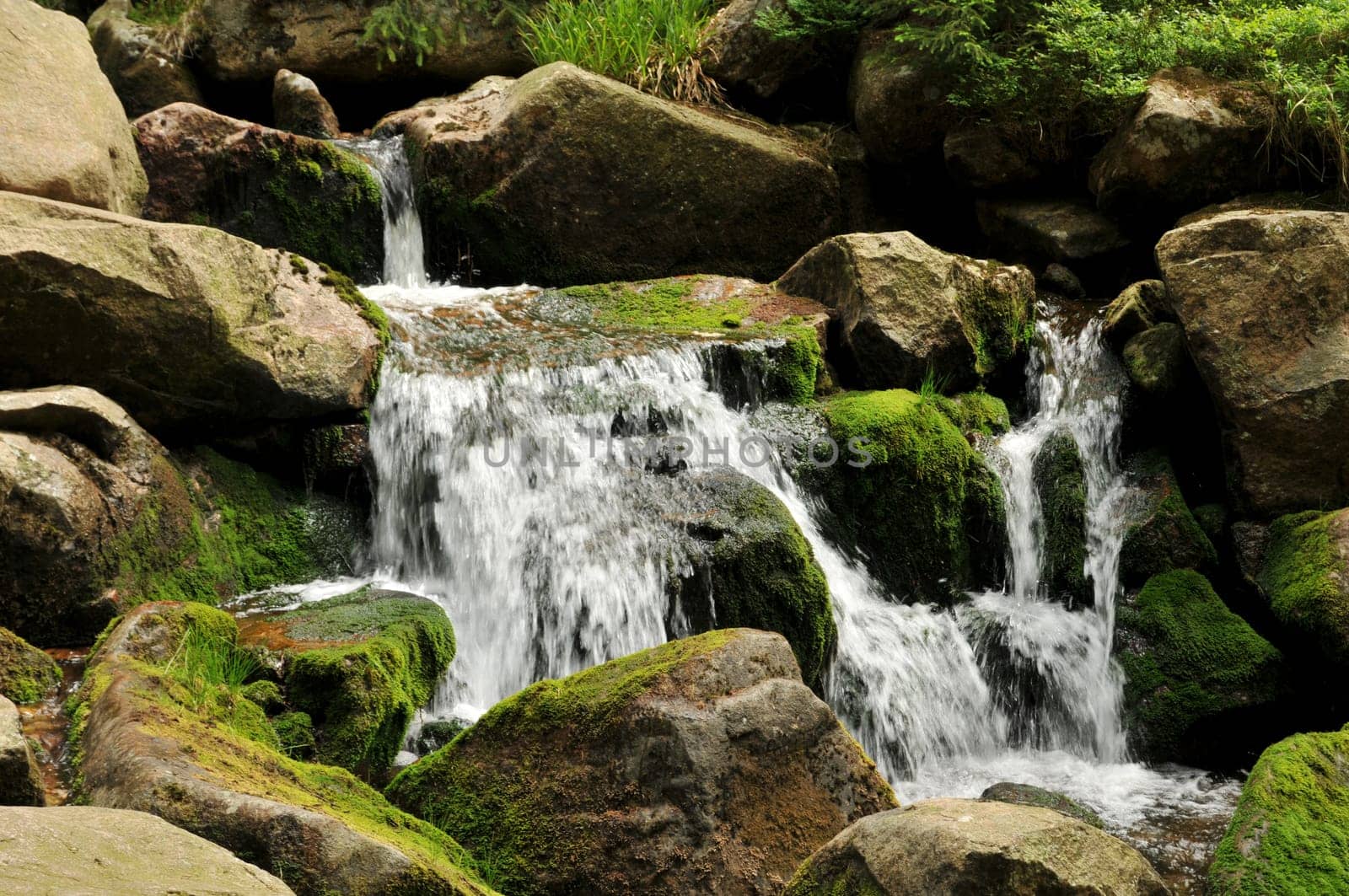 At the Selkefall