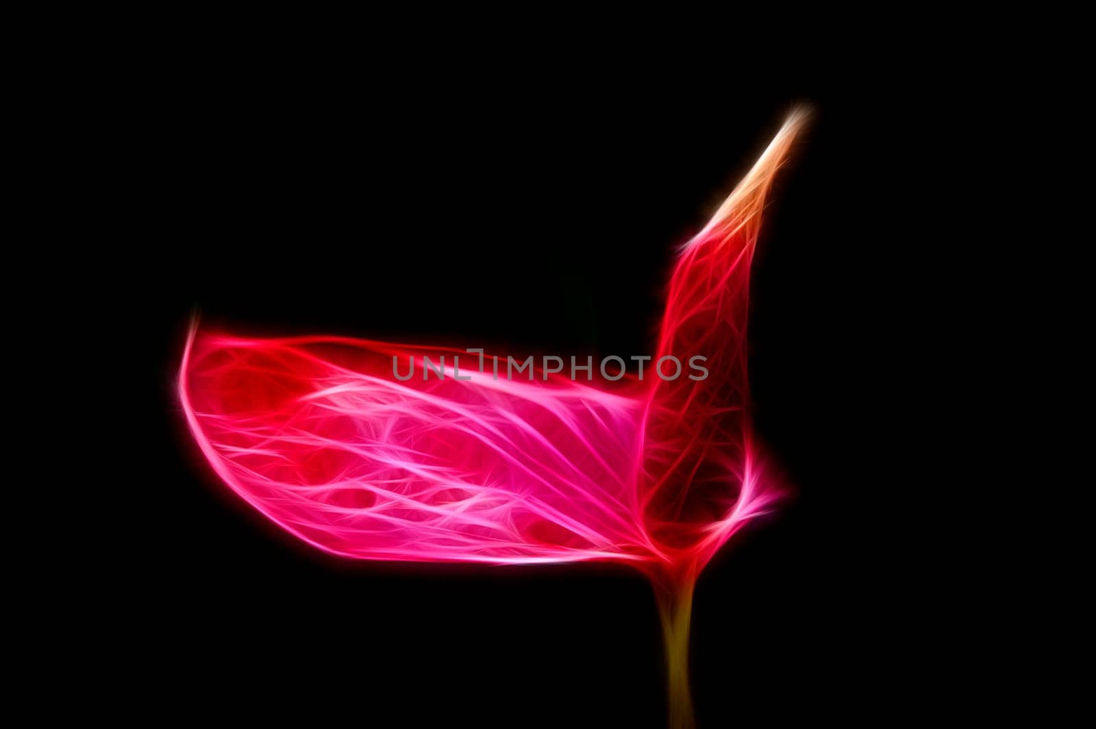 Zoomed red flower with one opened wet leaf
