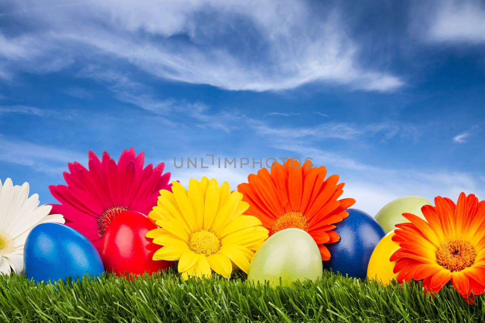 colorful Easter eggs with gerbera flowers