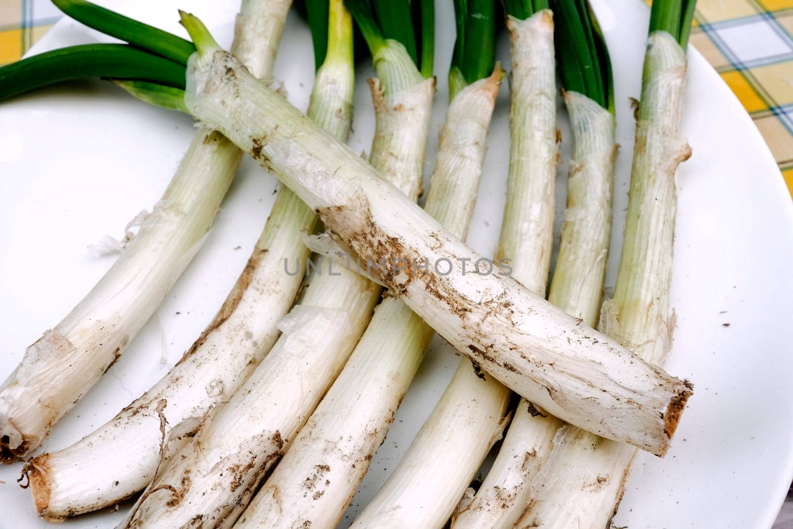 Spring onions on white background. Spanish cuisine. Selective focus. Calcots.