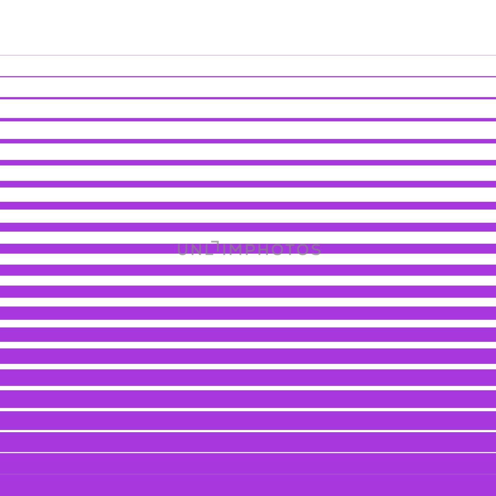 Wide and narrow stripes in violet on white