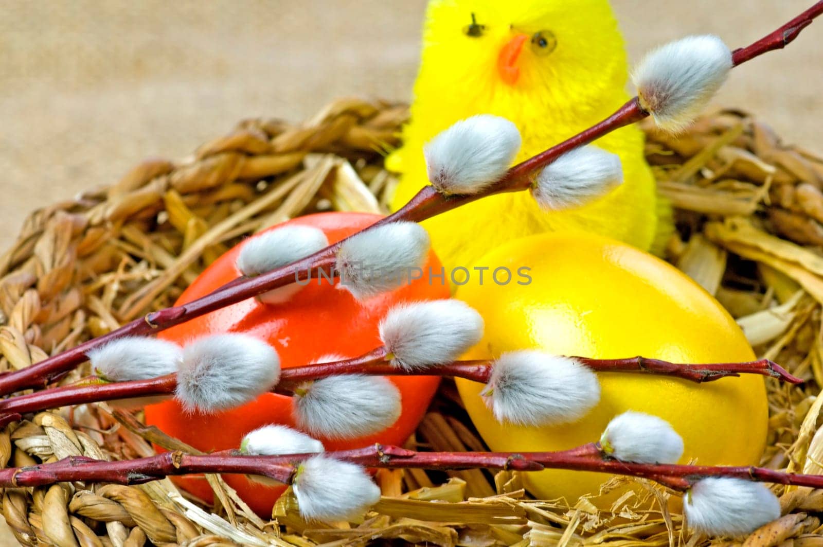 Easter nest with palm catkins,eggs and chicks