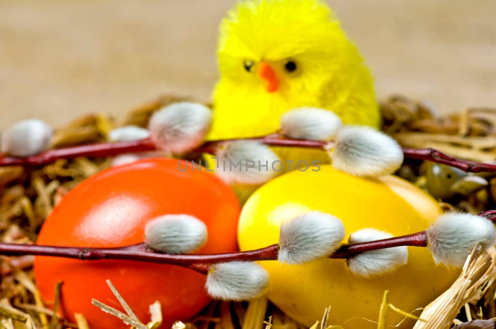 Easter nest with palm catkins,eggs and chicks