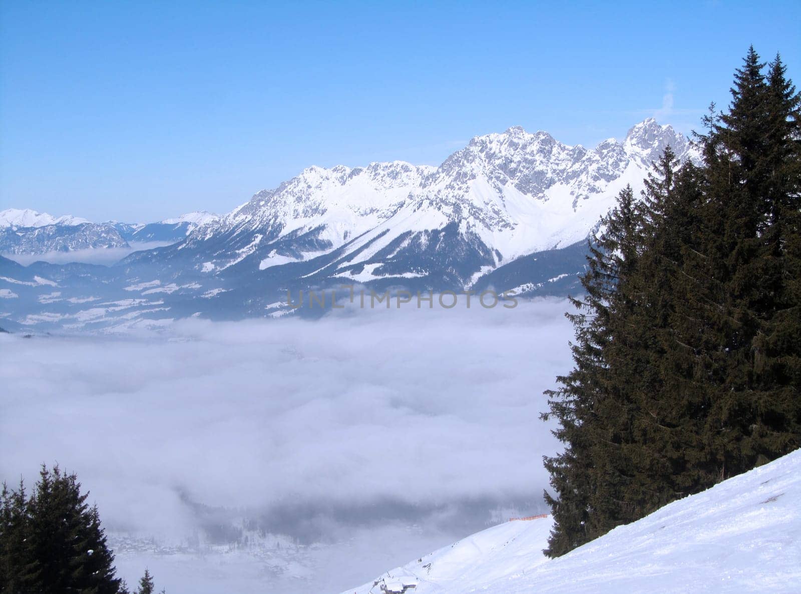 snowy winter landscape