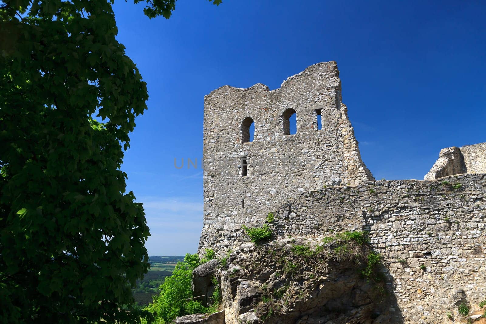 Wolfstein Castle Ruins
