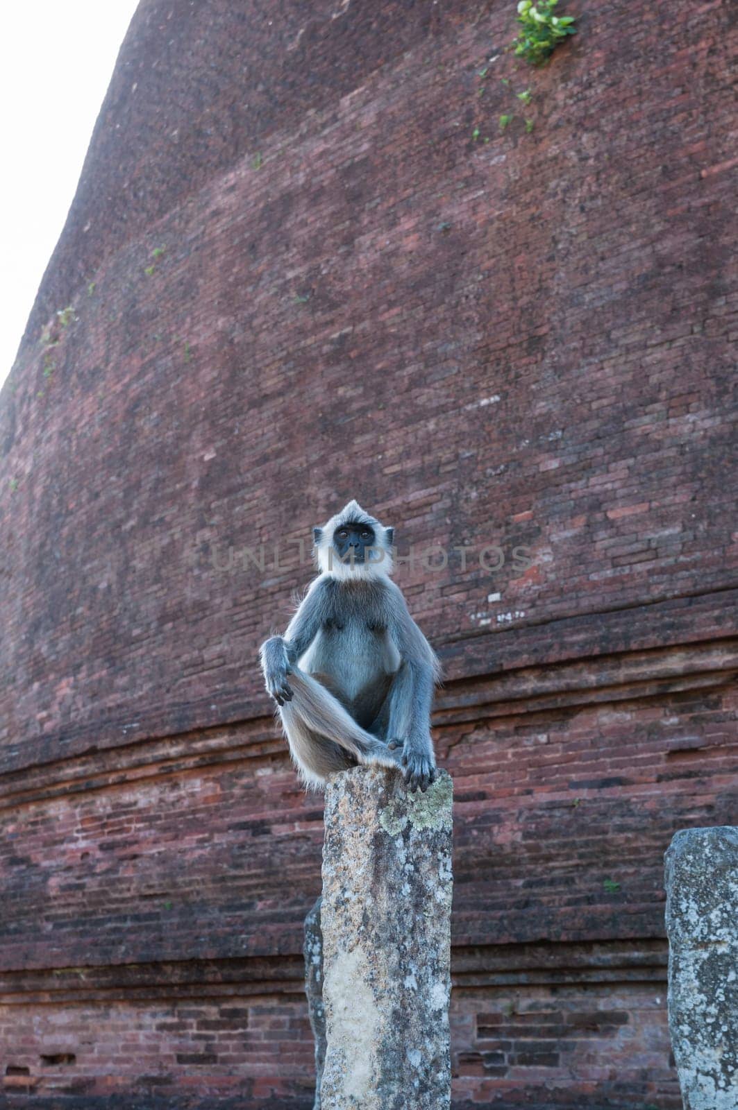 Ancient city Polonnaruwa, Sri Lanka