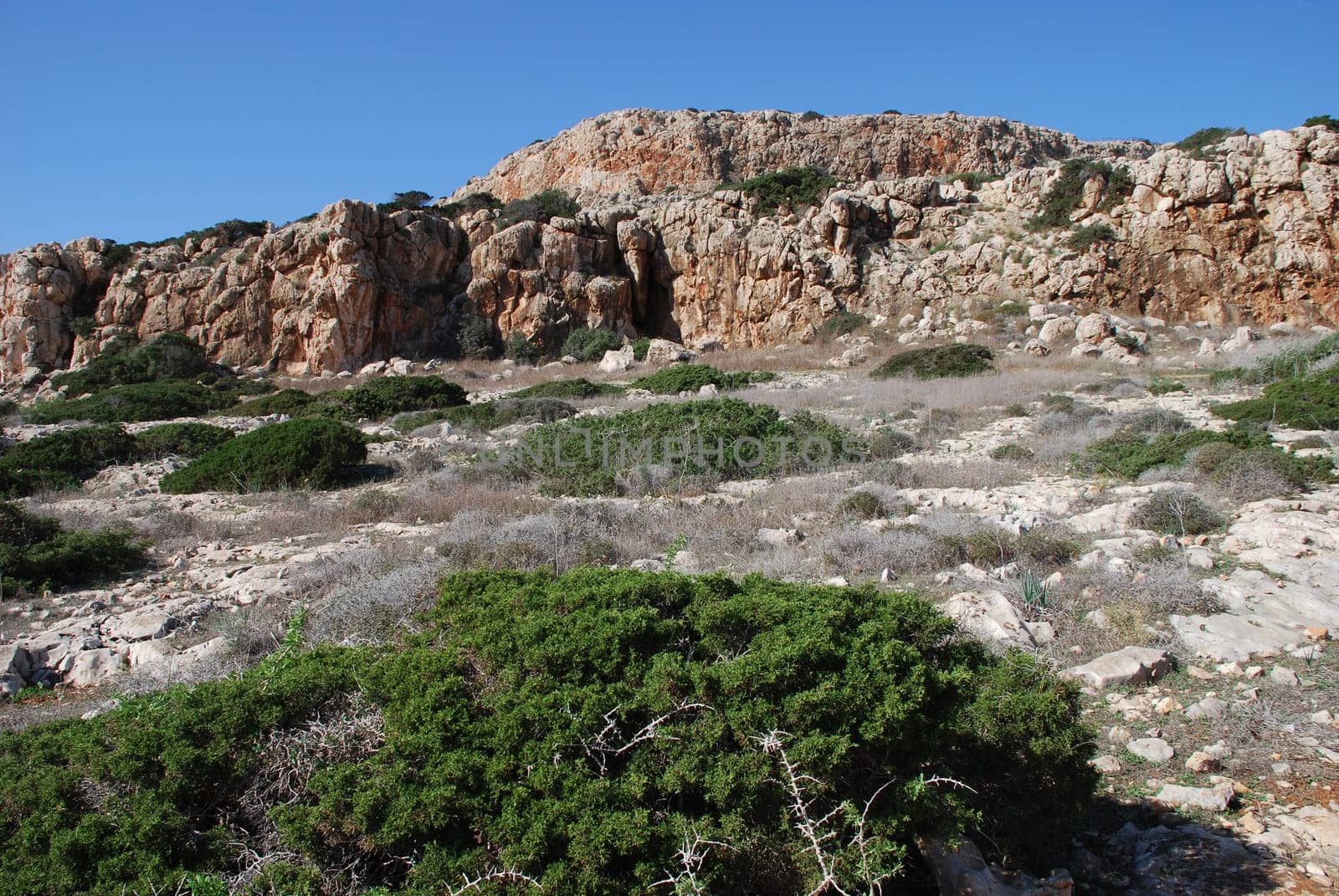 Zypern Cyprus Kap Cape Greko Greco Gkreko