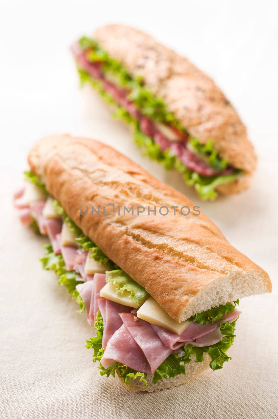 Fresh ham and cheese sandwich with salad close up