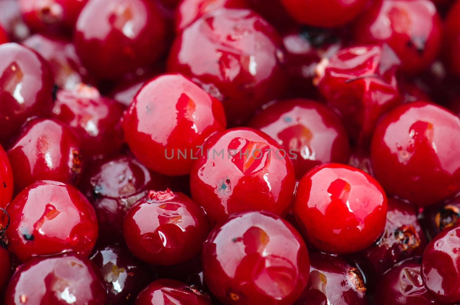 The defrozen cranberry, close up