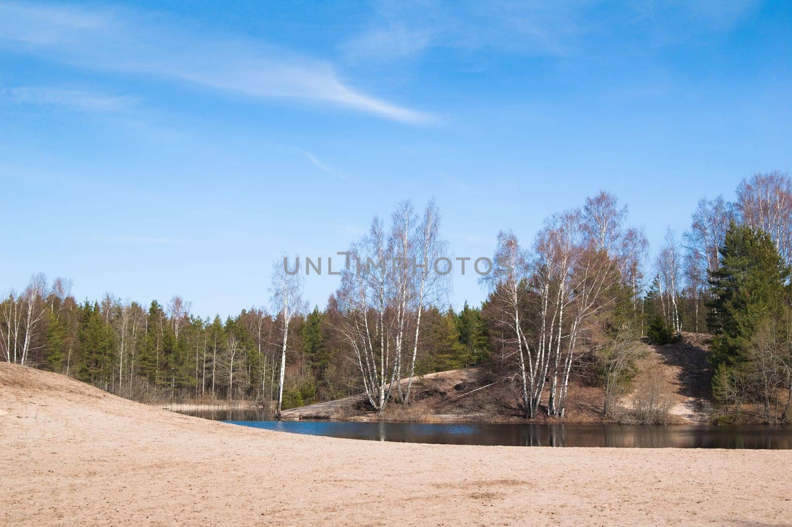 Spring landscape at wood lake