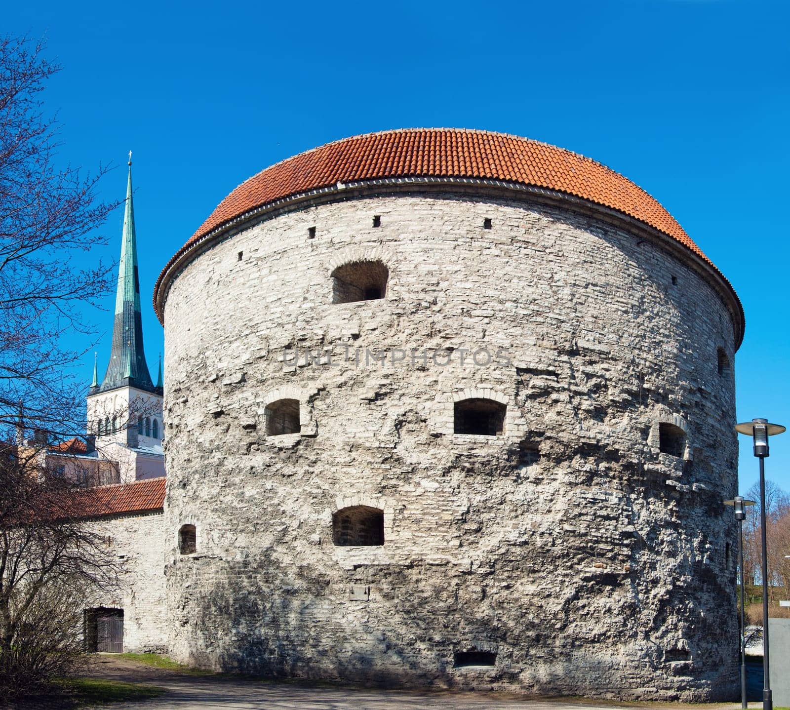 Tower Thick Margarita, Tallinn