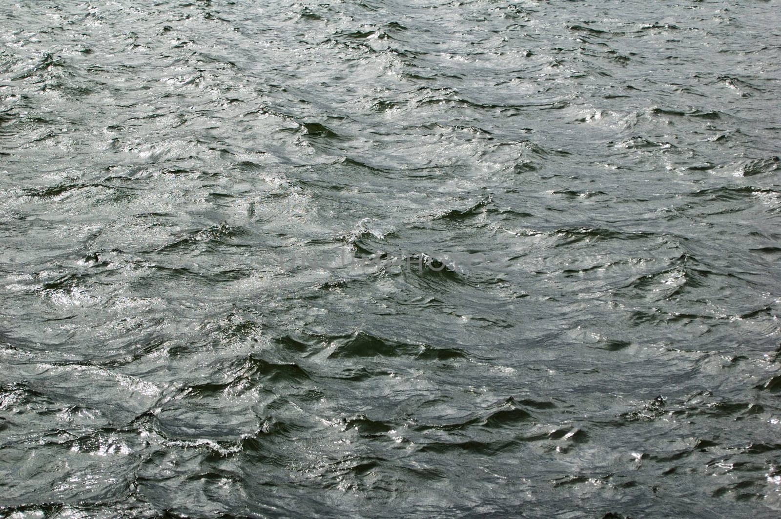 water surface, close-up