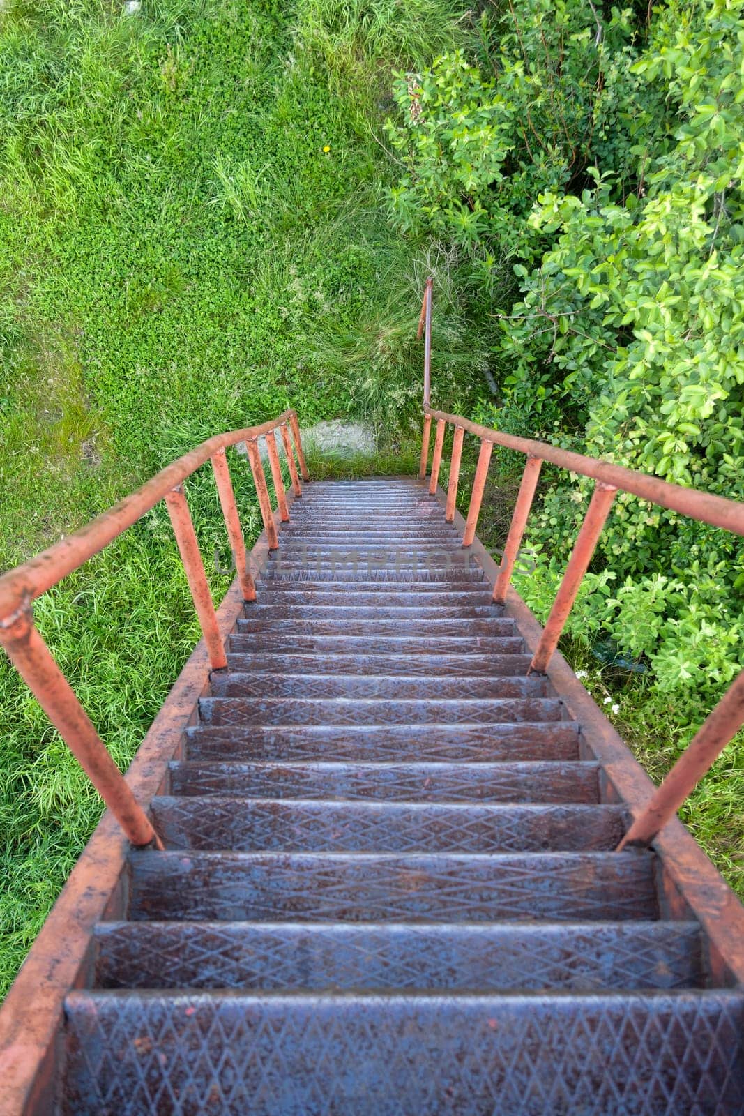 Descent from the rusty ladder on green grass