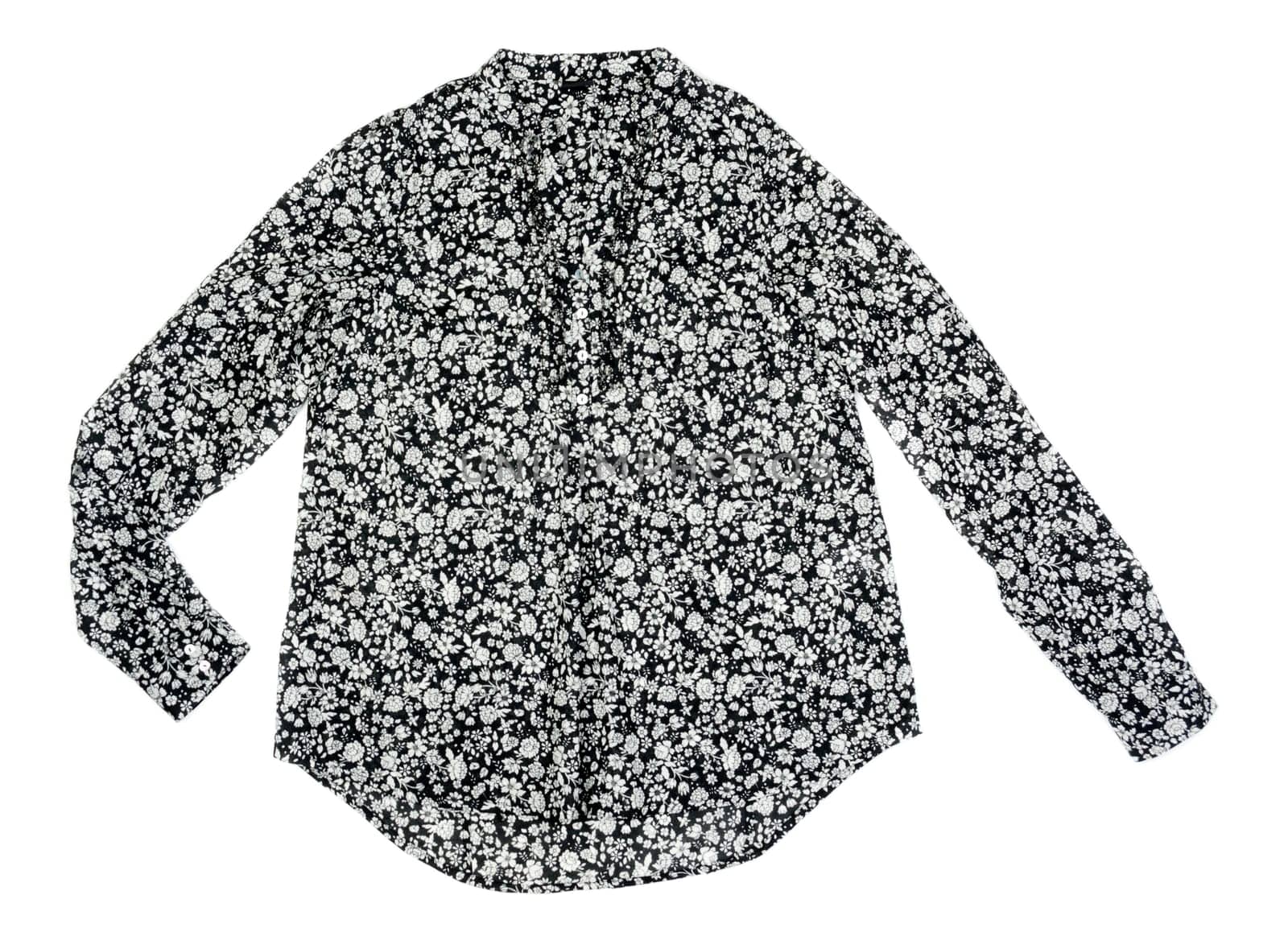 Fashionable women's blouse in dark colors. Isolate on white.