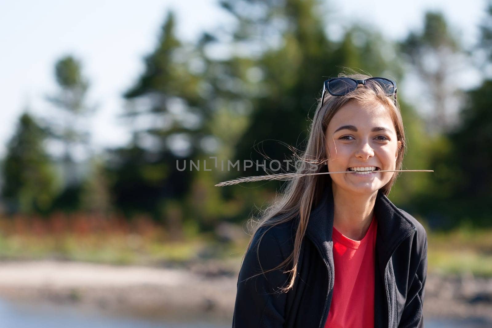 beautiful girl with an ear in his teeth against the backdrop of pine forests. The limited depth of field.