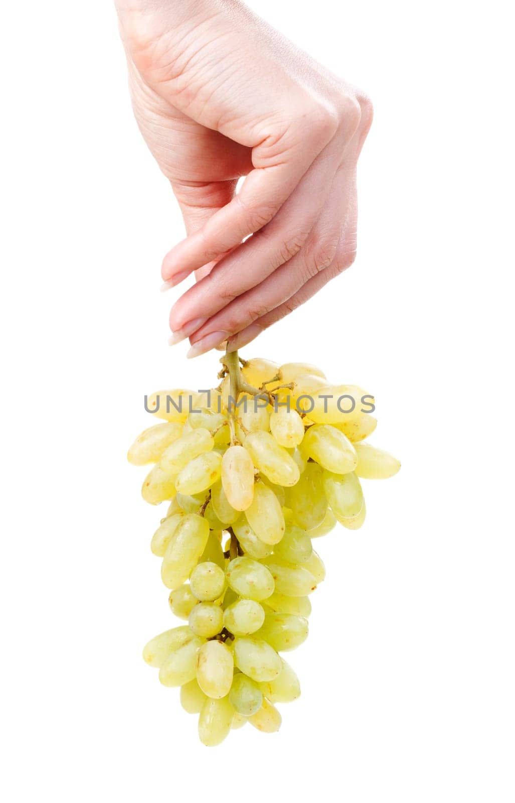 Woman hand holding bunch of green grapes isolated on the white background