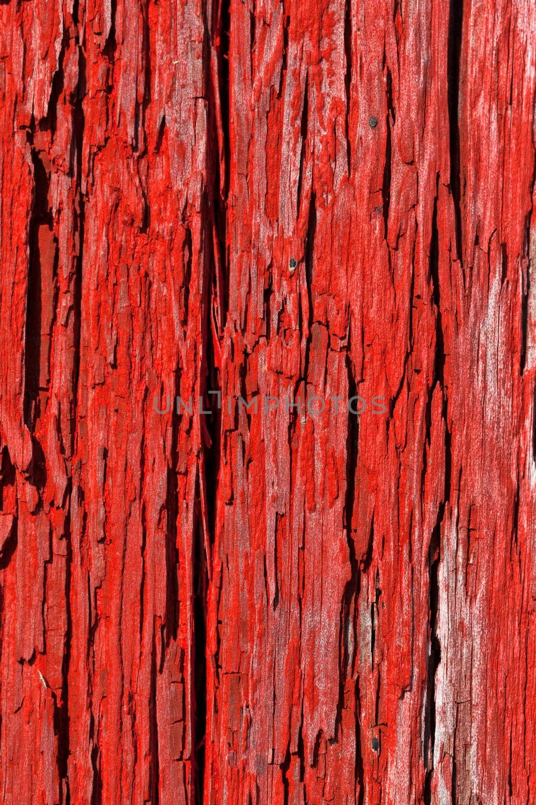 Red seamless texture of old wood with cracks
