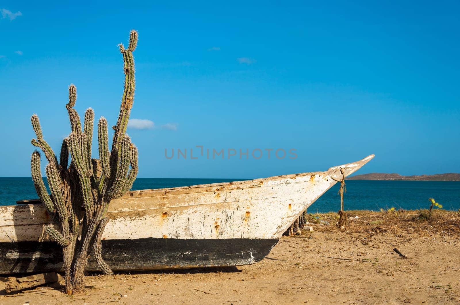 An old boat and a cactus on a dry arid beach