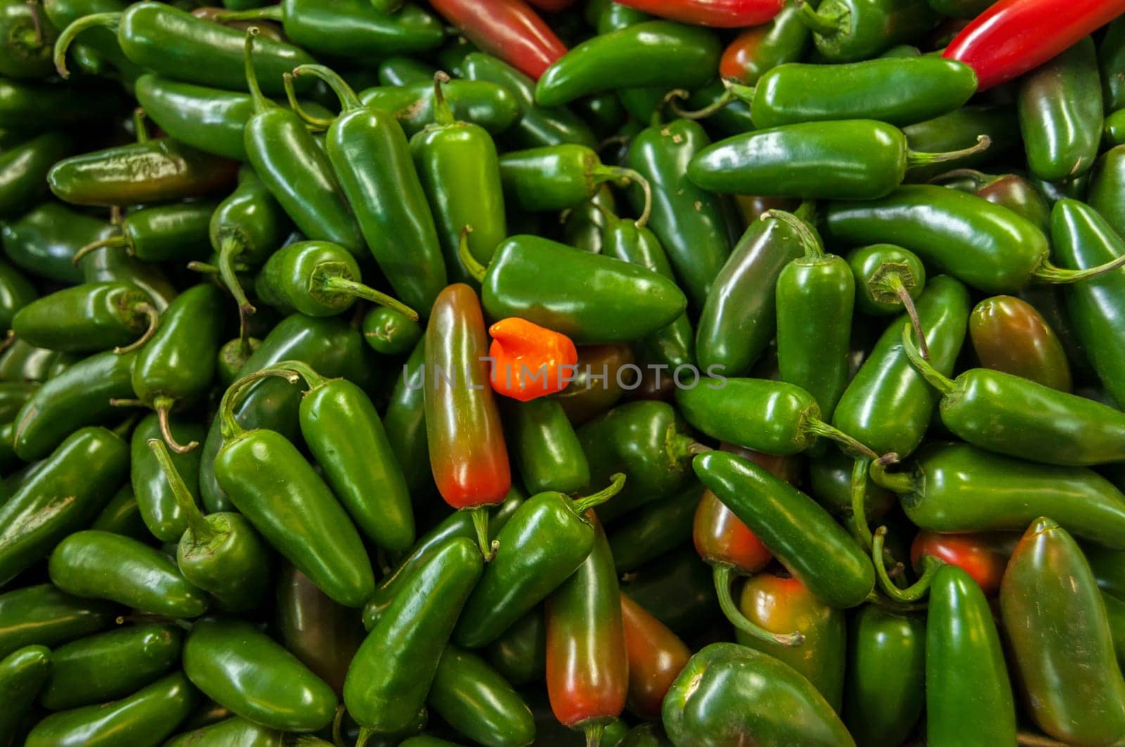 Lots of green jalapenos in a vegetable market
