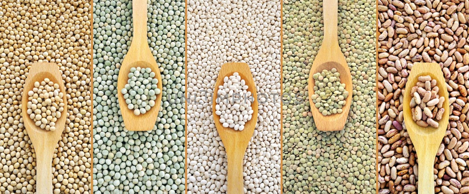 Collage of dried lentils, peas, soybeans, beans with wooden spoon